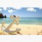 Diamond Art Painting Kits Anchor for Adults Paint with Diamond Art Landscape, Round Full Drill Crystal Rhinestone Crafts Gem Arts for Home Wall Decor 12x16 Inch
